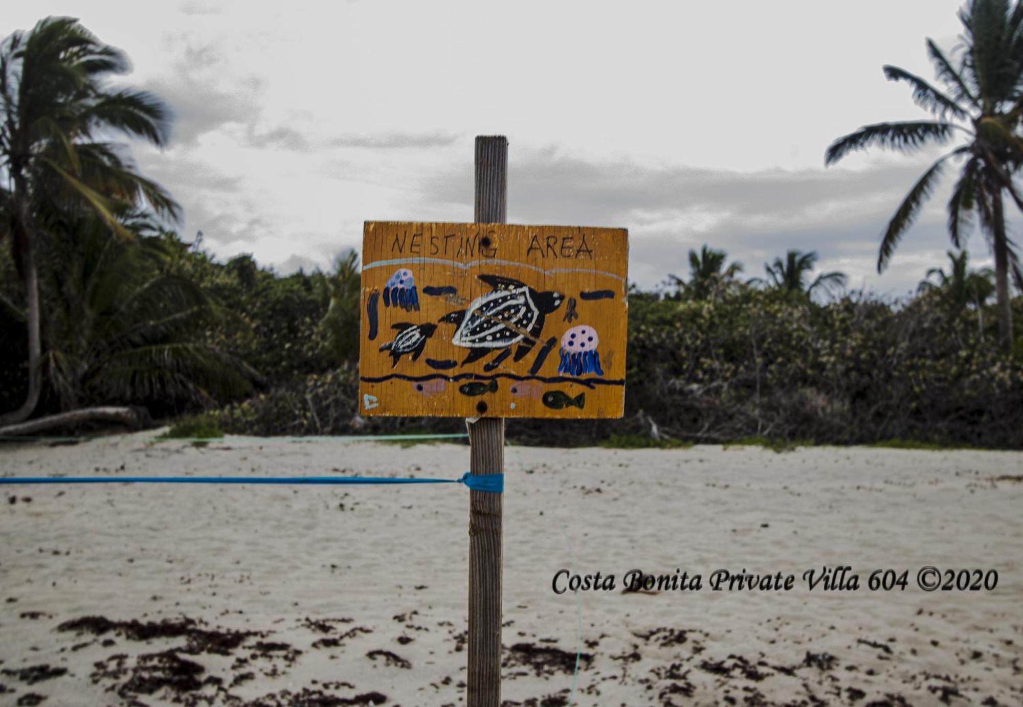 Costa Bonita Private Villa 604 Isla Culebra Eksteriør billede